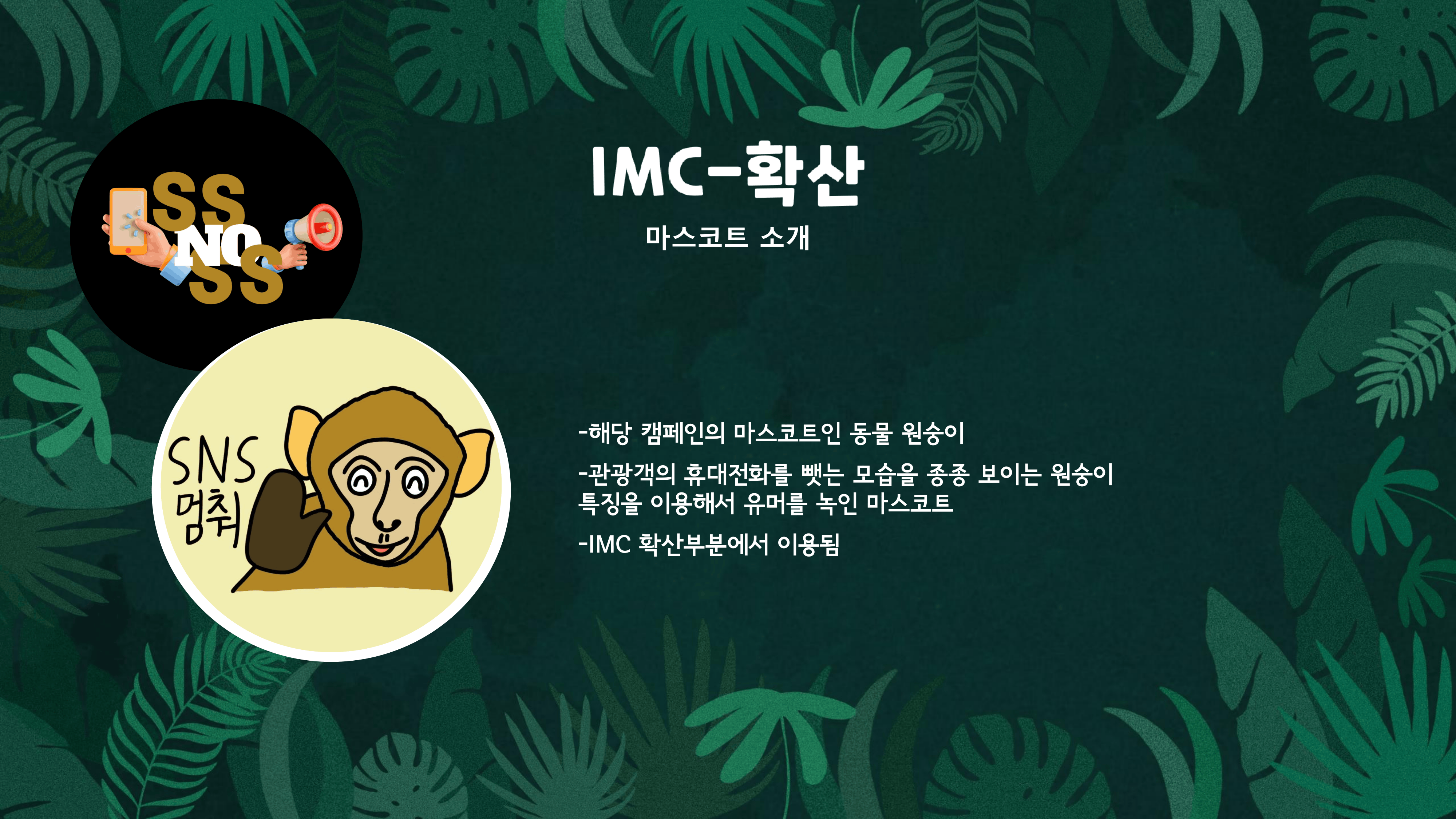 프기광 24